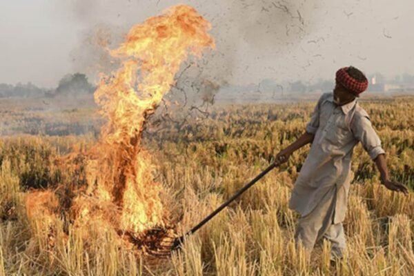 Exclusive: As Delhi Air Worsens, Punjab Farmers Say Stubble Burning Only Option Exclusive: As Delhi Air Worsens, Punjab Farmers Say Stubble Burning Only Option